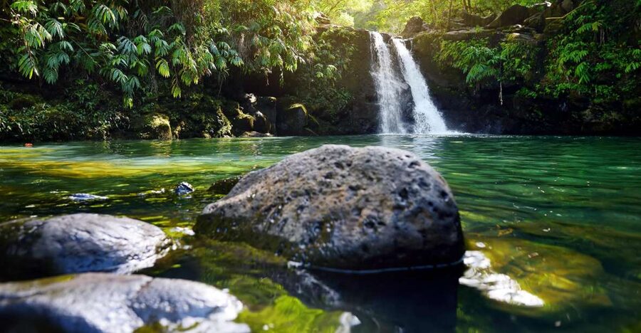 Maui: Guided Rainforest and Waterfall Walk & Swim - Key points to know before you book