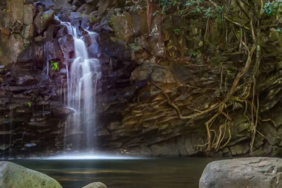 Maui: Guided Rainforest and Waterfall Walk & Swim - How to make the most of the three hours