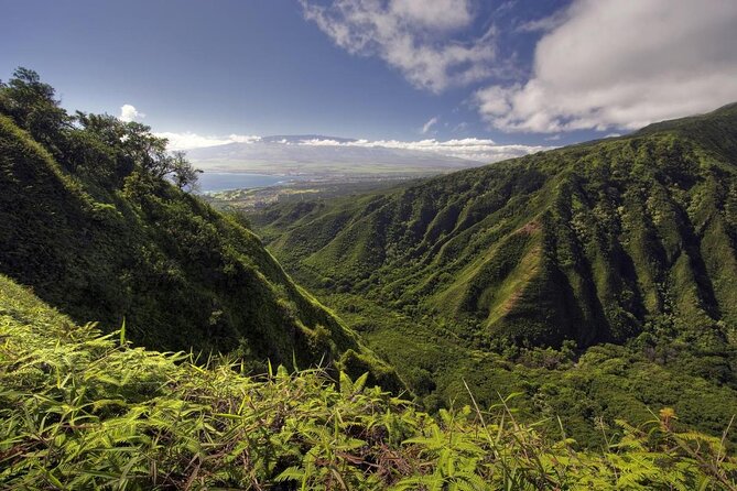 Maui Horseback Adventure at Circle M Ranch With Real Cowboys - Riding Out With Maui’s Paniolos