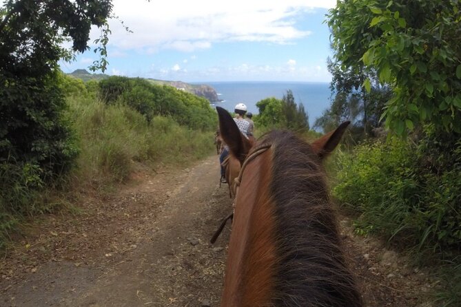 Maui Horseback Adventure at Circle M Ranch With Real Cowboys - Should You Book This Maui Horseback Ride?