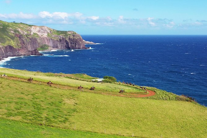 Maui Horseback Adventure at Circle M Ranch With Real Cowboys - Along the Coast With the Pacific Below