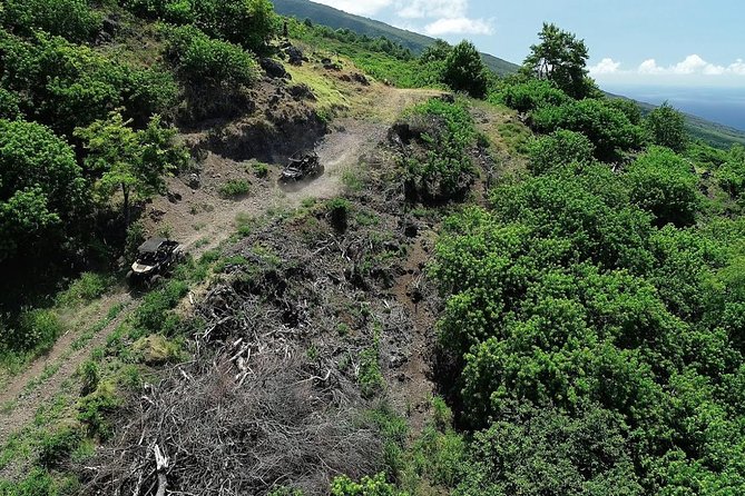 Maui: Lahaina ATV Adventure - A Lahaina UTV ride with more than just engine noise