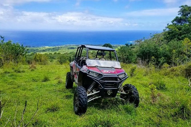 Maui: Lahaina ATV Adventure - Who will enjoy this most?