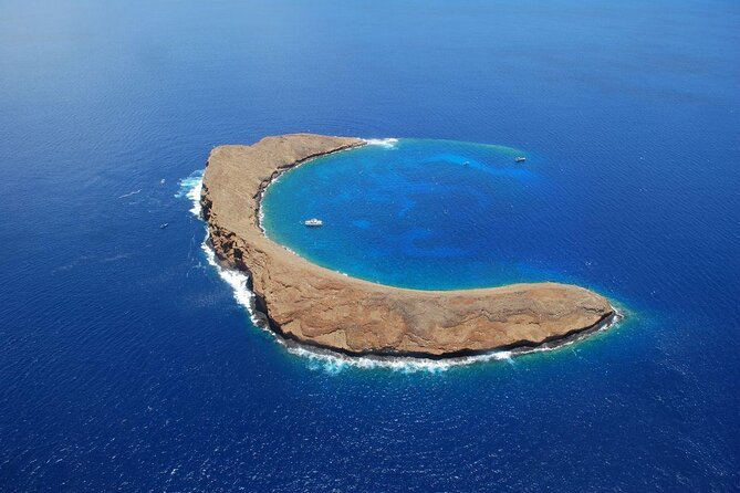 Maui: Molokini and Turtle Town Snorkeling aboard Pride of Maui - Key points to know before booking