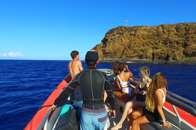 Maui: Molokini Crater and Turtle Town Snorkeling From Kihei - Who should book this Maui snorkel trip