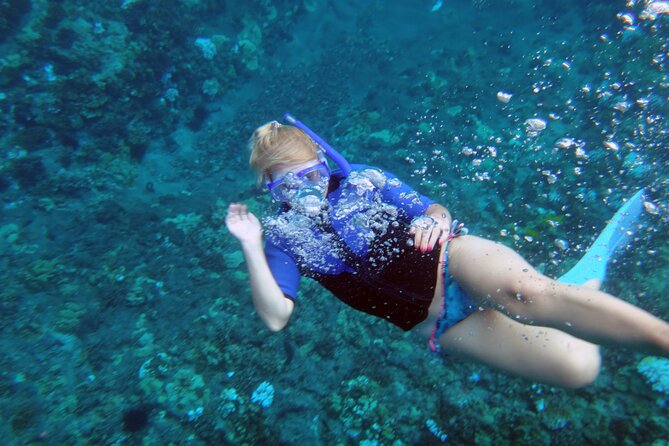 Maui: Molokini & Turtle Town Snorkel & Waterslide Adventure - Meals, bathrooms, and onboard comfort