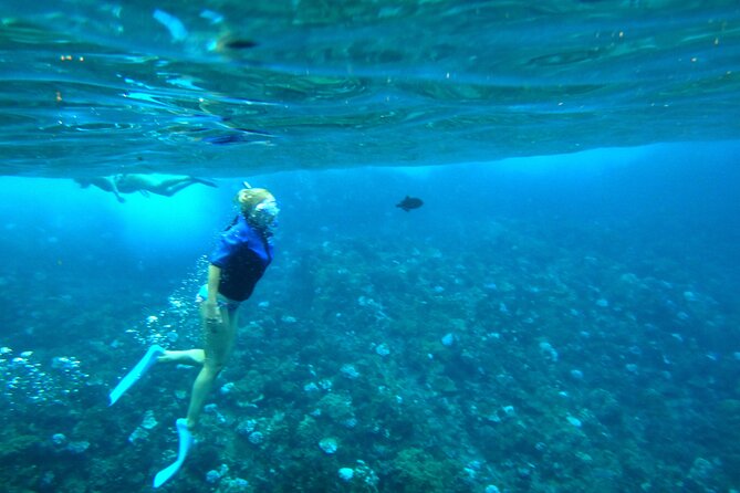 Maui: Molokini & Turtle Town Snorkel & Waterslide Adventure - What $196.88 buys you