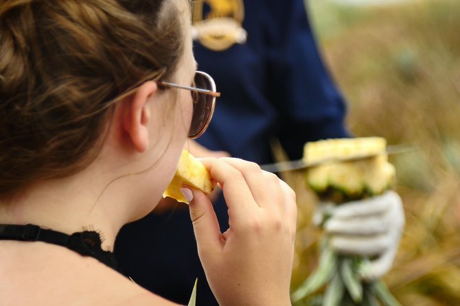 Maui Pineapple Farm Tour in Haliimaile - Inside the Packing Facility