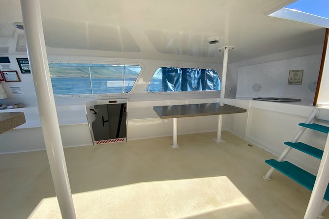 Maui Premium Sunset Dinner Cruise from Ka’anapali Beach - Whale watching from December 15 to April 15