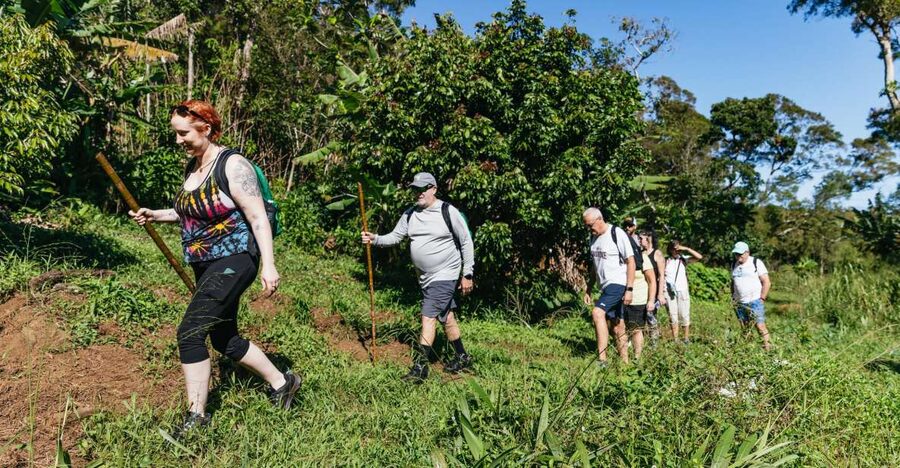 Maui: Rainforest Waterfalls Guided Hike with Picnic Lunch - Key points to know before you go