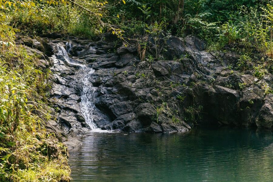 Maui: Rainforest Waterfalls Guided Hike with Picnic Lunch - Practical packing advice