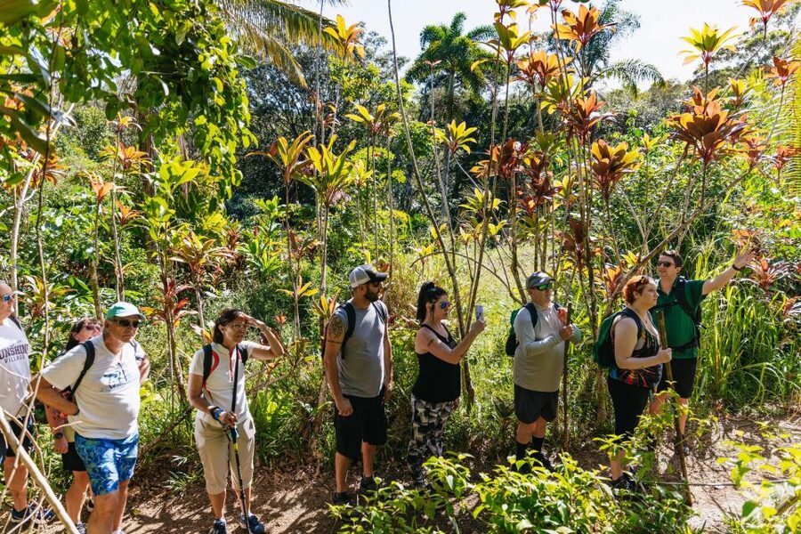 Maui: Rainforest Waterfalls Guided Hike with Picnic Lunch - Lunch beside the tumbling water