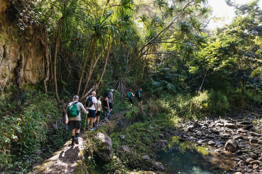 Maui: Rainforest Waterfalls Guided Hike with Picnic Lunch - Why the guides matter so much