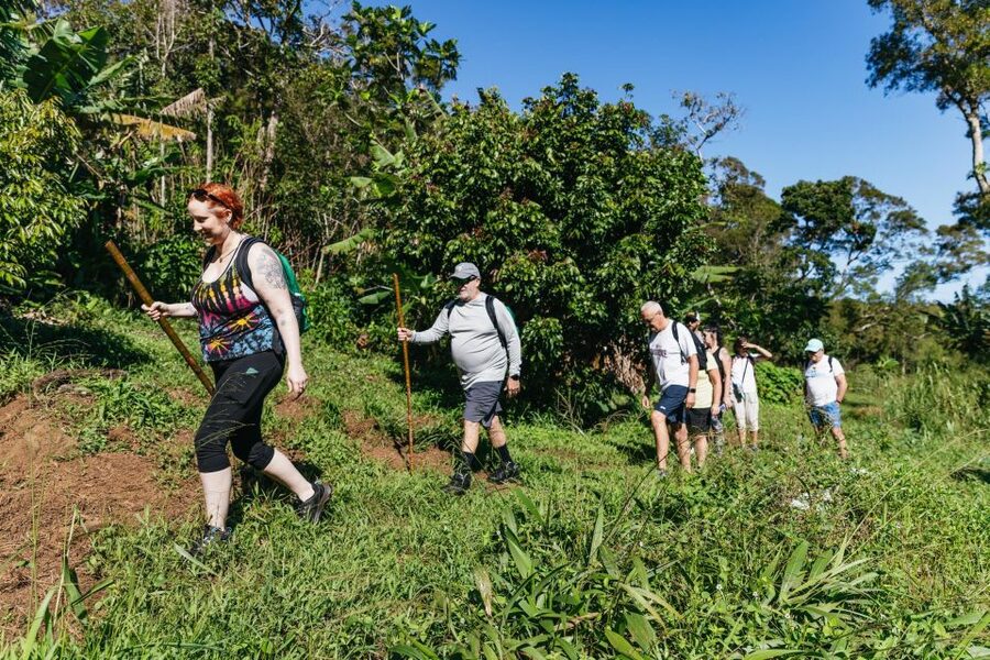 Maui: Rainforest Waterfalls Guided Hike with Picnic Lunch - How difficult is the hike?