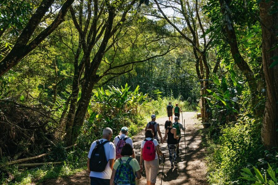 Maui: Rainforest Waterfalls Guided Hike with Picnic Lunch - What the $187 price really buys