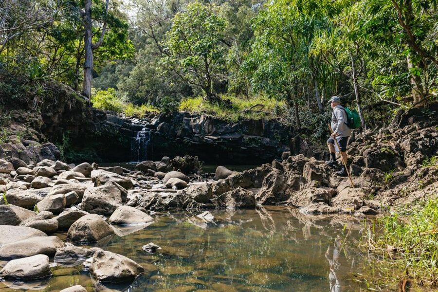 Maui: Rainforest Waterfalls Guided Hike with Picnic Lunch - Who should book this waterfall hike?