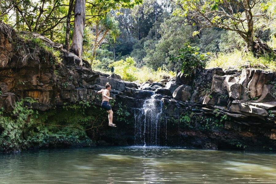 Maui: Rainforest Waterfalls Guided Hike with Picnic Lunch - Three to five waterfalls, each with a different feel