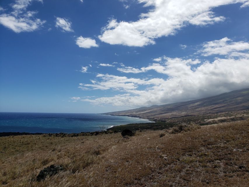 Maui: Road to Hana Adventure with Breakfast & Lunch - What the guides add to a long day