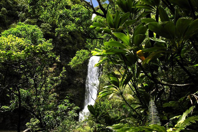 Maui: Road to Hana Luxury Limo-Van Tour with Helicopter Flight - Lunch with a beachside setting
