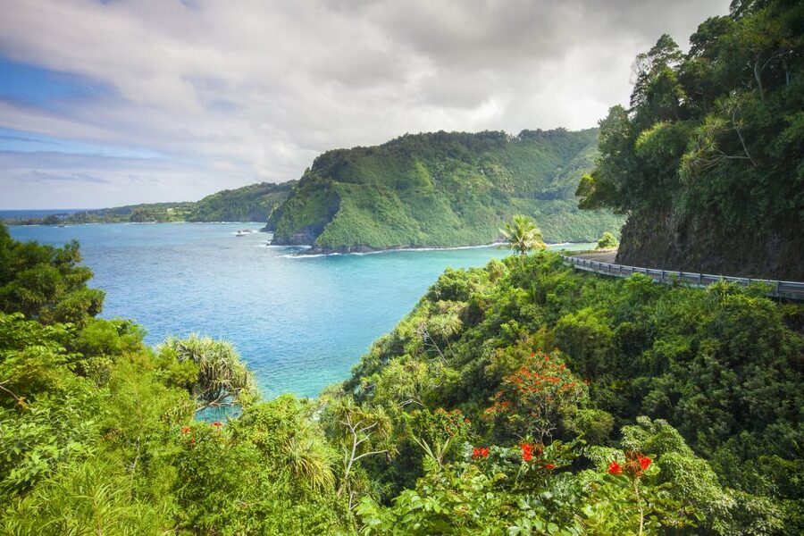 Maui: Small-Group Road to Hāna Sightseeing Tour - Who should book this Maui day trip?