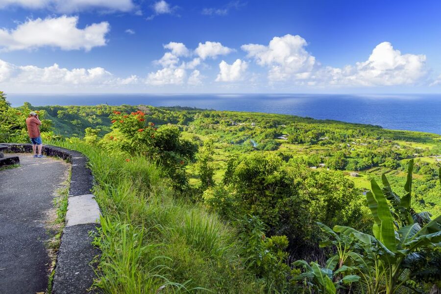 Maui: Small-Group Road to Hāna Sightseeing Tour - The early start, fruit, and tropical pastries