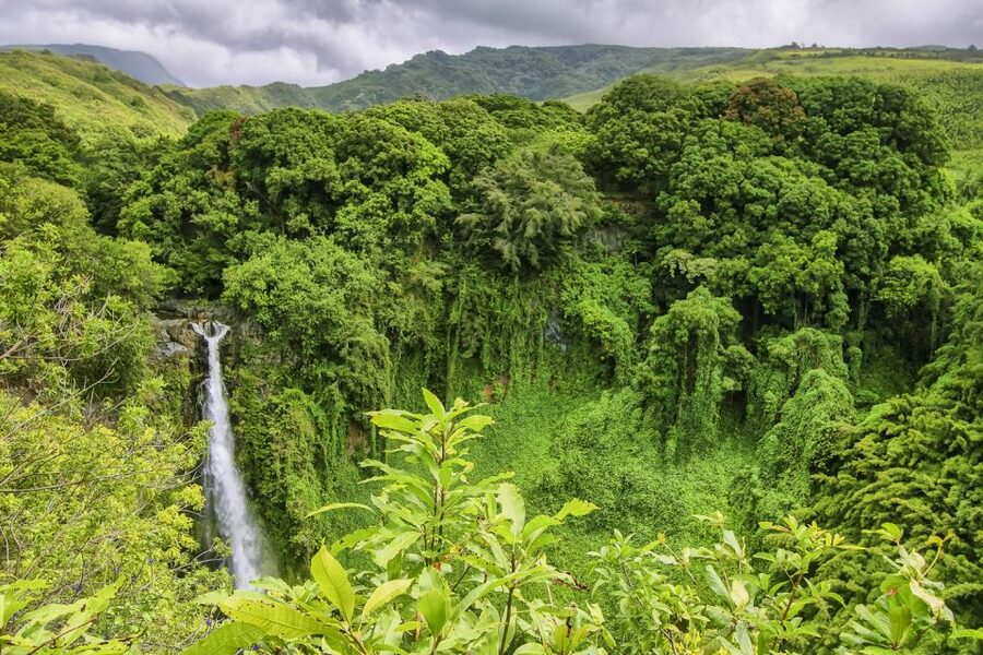 Maui: Small-Group Road to Hāna Sightseeing Tour - Keanae Peninsula and the old road through Maui