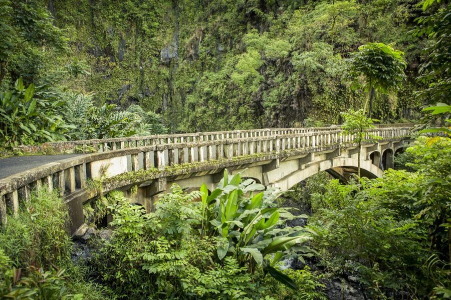 Maui: Small-Group Road to Hāna Sightseeing Tour - Waterfalls, wayside parks, and a chance to swim