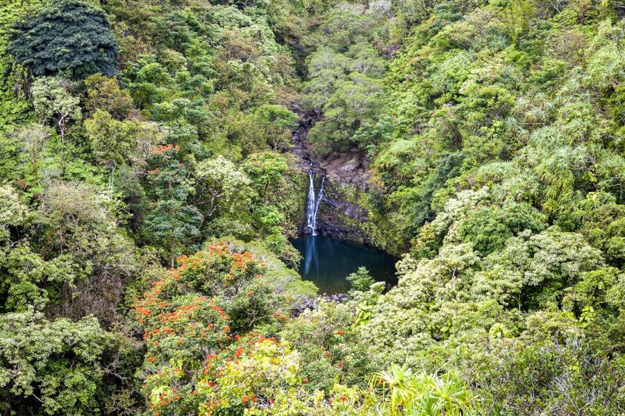 Maui: Small-Group Road to Hāna Sightseeing Tour - Hāna town, lunch, and the long return