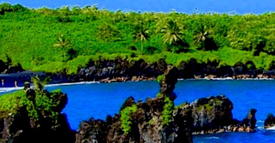 Maui: Small-Group Road to Hāna Sightseeing Tour - Ho‘okipa, eucalyptus, and the first coastal views