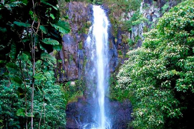 Maui: Small Group Road to Hāna Tour 6 to 8 passengers - Pua‘a Ka‘a and the waterfalls