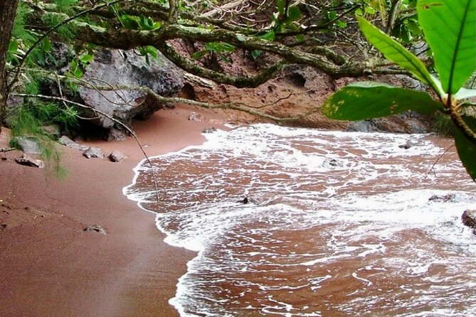 Maui: Small Group Road to Hāna Tour 6 to 8 passengers - Wai‘anapanapa’s black-sand coast
