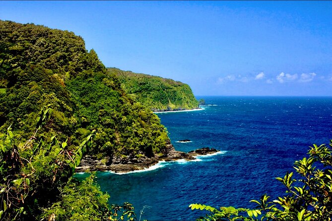 Maui: Small Group Road to Hāna Tour 6 to 8 passengers - Food, comfort, and the real value of $250.26
