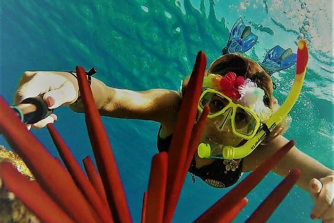 Maui Snorkel Adventure: Molokini Crater and Turtle Cove - What the fast, low-slung boat changes