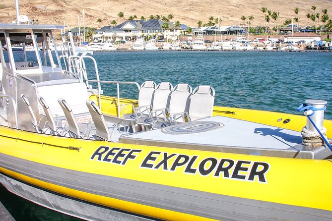 Maui Snorkel Adventure: Molokini Crater and Turtle Cove - The crew’s role when conditions turn