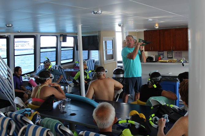 Maui Snorkeling Adventure From Ma'alaea Harbor to Molokini - Is $185.95 a fair price?