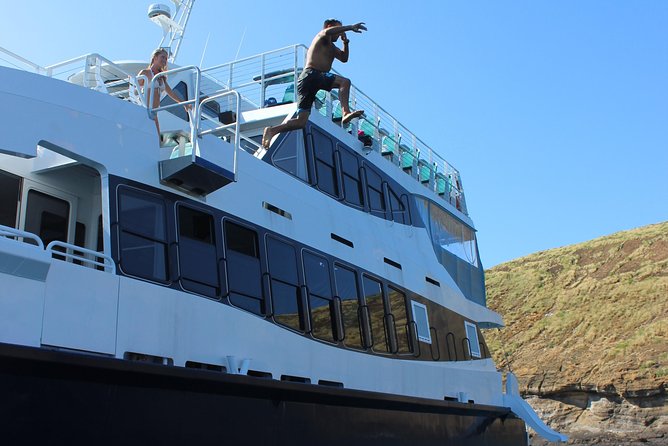 Maui Snorkeling Adventure From Ma'alaea Harbor to Molokini - Should you book the Calypso Molokini trip?