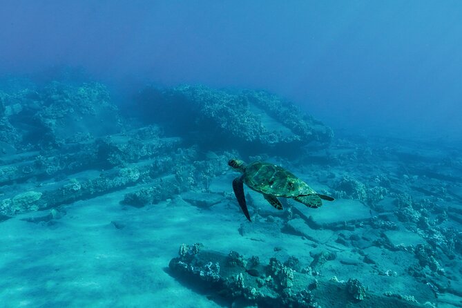 Maui Snorkeling Boat Tour to Turtle Town Aboard Quicksilver - Boarding at Ma‘alaea Harbor