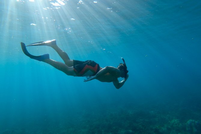 Maui Snorkeling Boat Tour to Turtle Town Aboard Quicksilver - Coral Gardens as the backup site