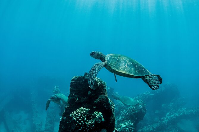 Maui Snorkeling Boat Tour to Turtle Town Aboard Quicksilver - McGregor Point Light and the return route