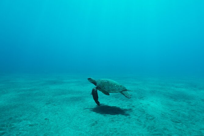 Maui Snorkeling Boat Tour to Turtle Town Aboard Quicksilver - Lunch, drinks, and the extra costs