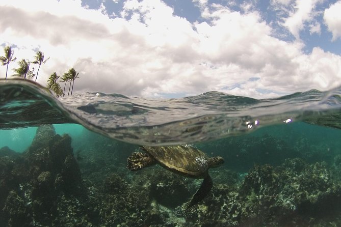 Maui South Coast and Molokini Crater Adventure from Kihei - Why the early raft ride matters at Molokini