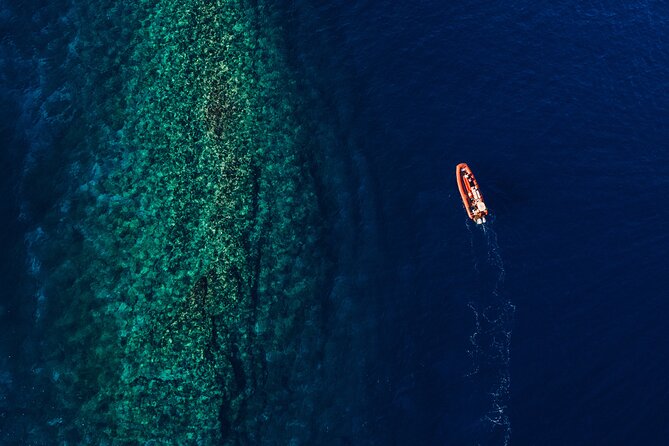 Maui South Coast and Molokini Crater Adventure from Kihei - La Perouse Bay adds volcanic scenery and dolphin possibilities