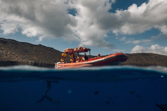Maui South Coast and Molokini Crater Adventure from Kihei - The back wall is the trip’s special access