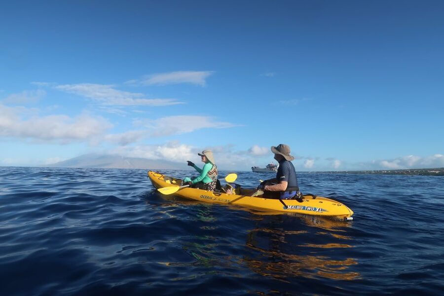 Maui: Turtle Town Kayak and Snorkel Tour - Key points to know before booking