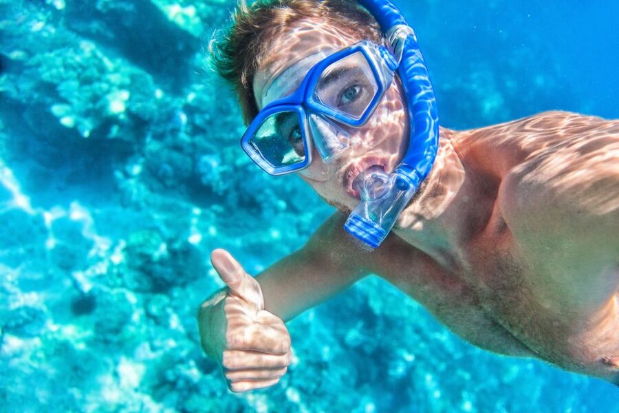 Maui: Turtle Town Kayak and Snorkel Tour - Winter whale season adds a second kind of wildlife