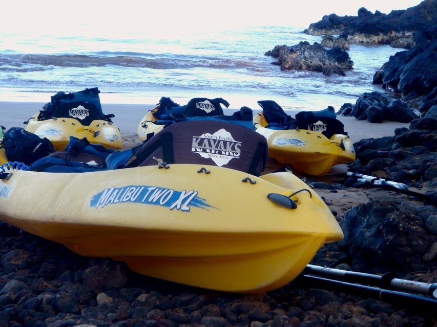 Maui: Turtle Town Kayak and Snorkel Tour - What to pack and how to prepare