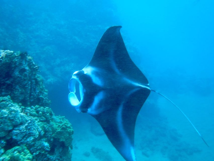 Maui: Turtle Town Kayak and Snorkel Tour - The 1.5-mile paddle across Makena Bay