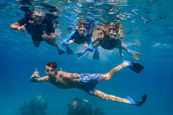 Maui: Turtle Town Snorkel with Photo and Video - The guided swim toward Turtle Town