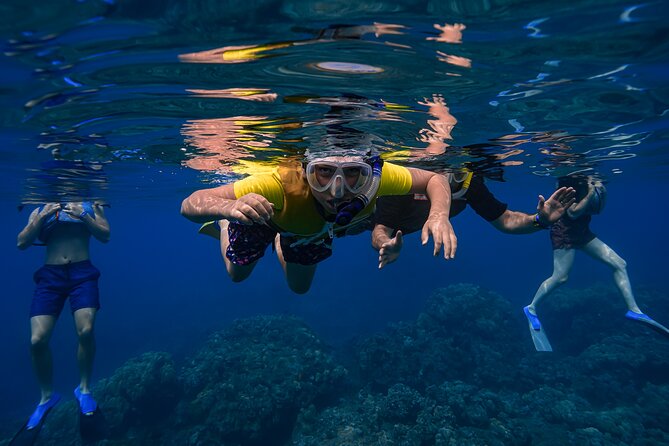 Maui: Turtle Town Snorkel with Photo and Video - Photos, video, and the powered swim option