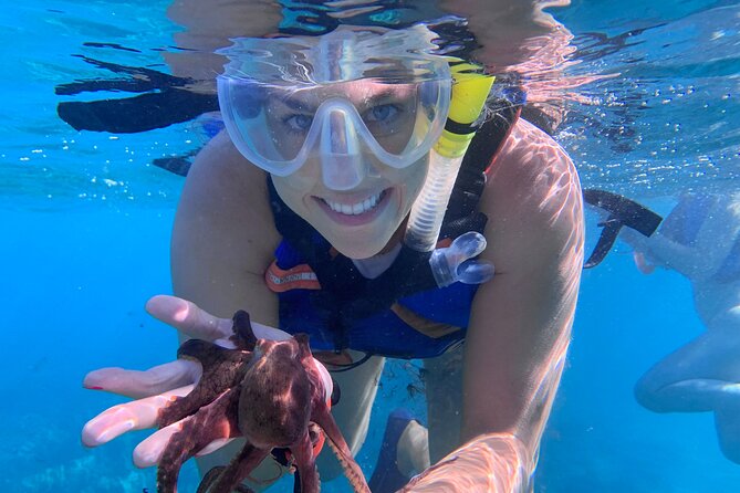 Maui: Turtle Town Snorkel with Photo and Video - Who should book this snorkeling trip?